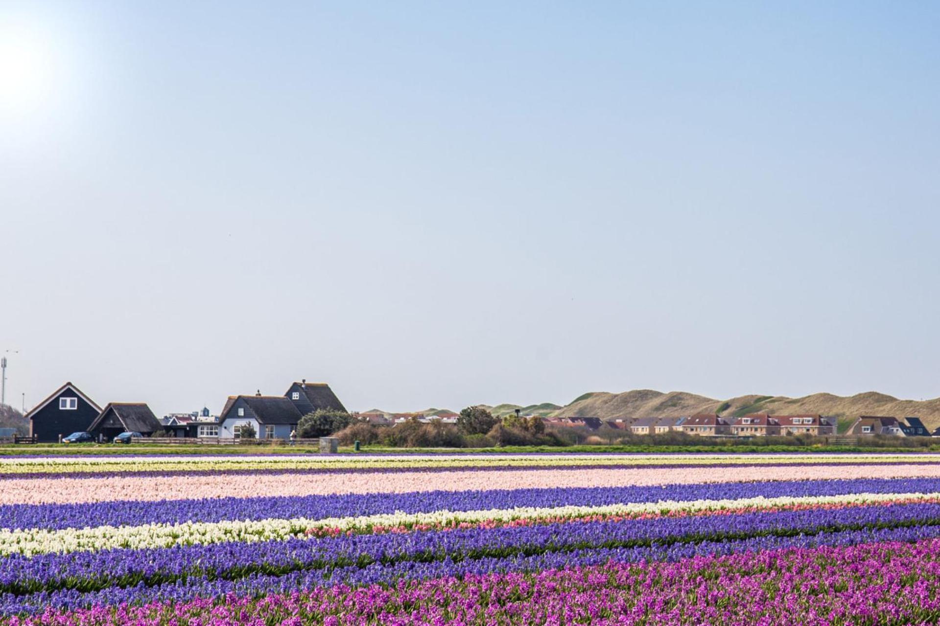 Vakantiehuis Nordseezauber - Callantsoog Aan Zee Exterior foto